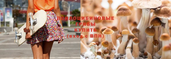 кокс Богородицк