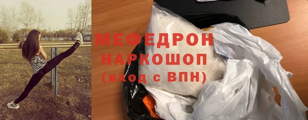 индика Богданович