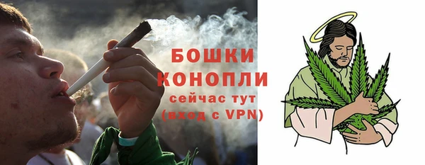 2c-b Козельск