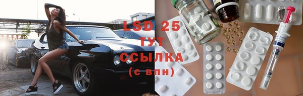 индика Богданович