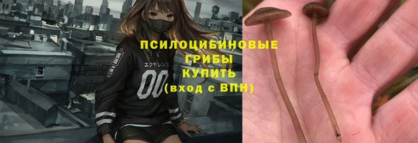 кокс Богородицк