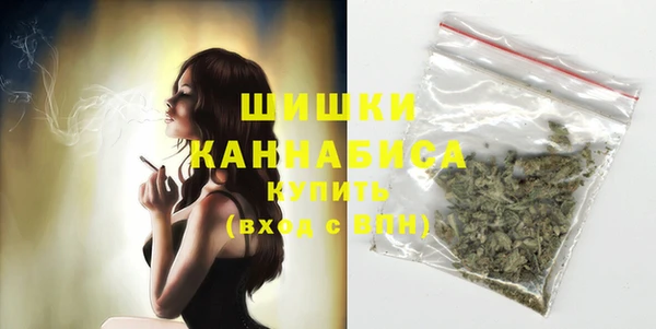 индика Богданович