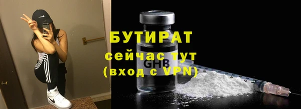 индика Богданович