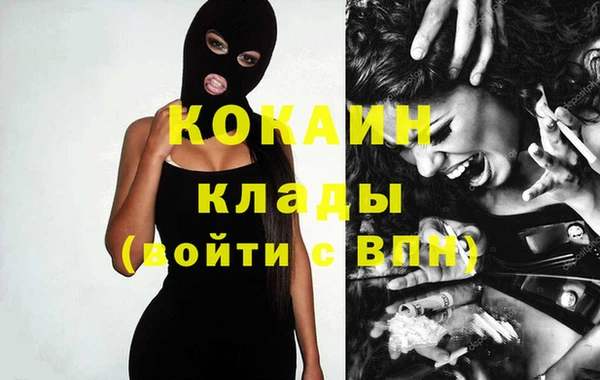 индика Богданович