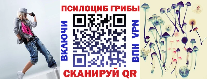 ОМГ ОМГ ССЫЛКА  Пересвет  Галлюциногенные грибы прущие грибы  купить  цена 